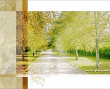 Frederick-County-Cov-Horiz-long-copy
